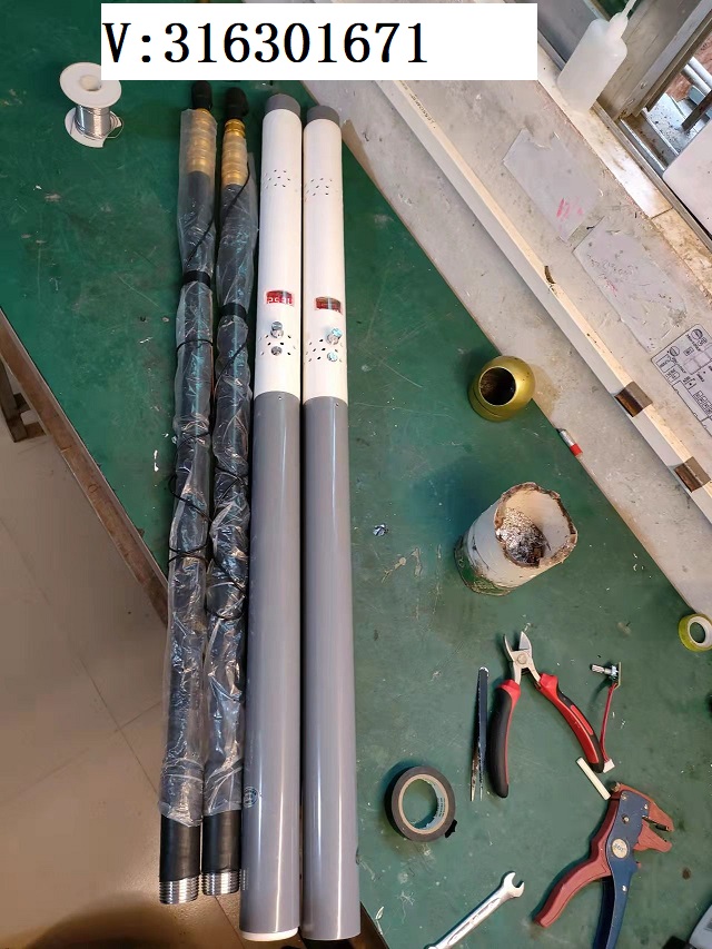 新型25V捕鱼电抄网一体竿
